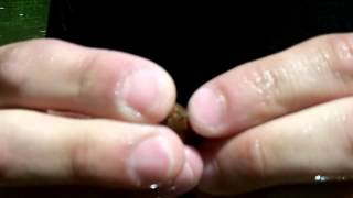 Last Cast: Strike King bitsy tubes