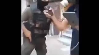 Pöhü Sinirlendirirseniz Ne Olur?