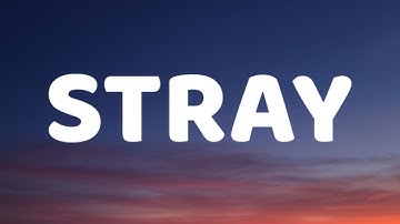 JXDN - STRAY (Lyrics)