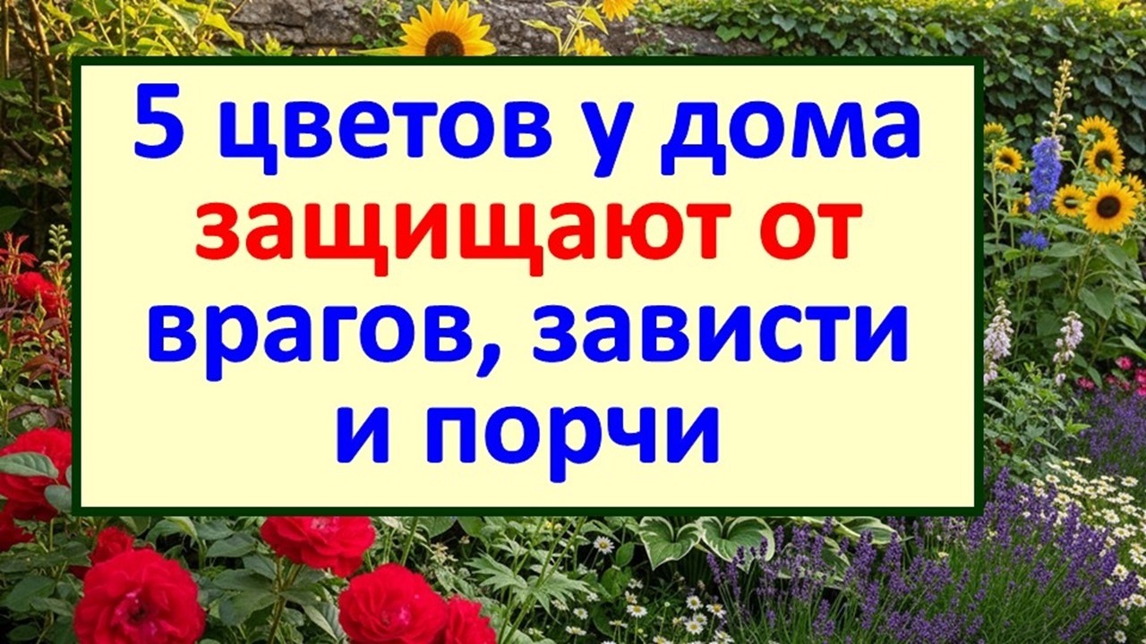 5 цветов посадите у дома: они защищают от врагов, порчи и зависти. Старинные приметы о растениях