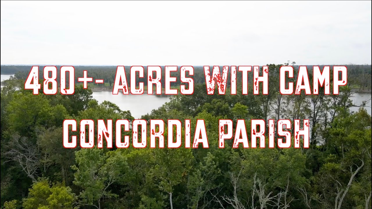 480+ Acres with a Camp for Sale in Concordia Parish, LA (GIANT Deer