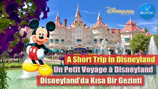 Un Petit Voyage À Disneyland Paris
