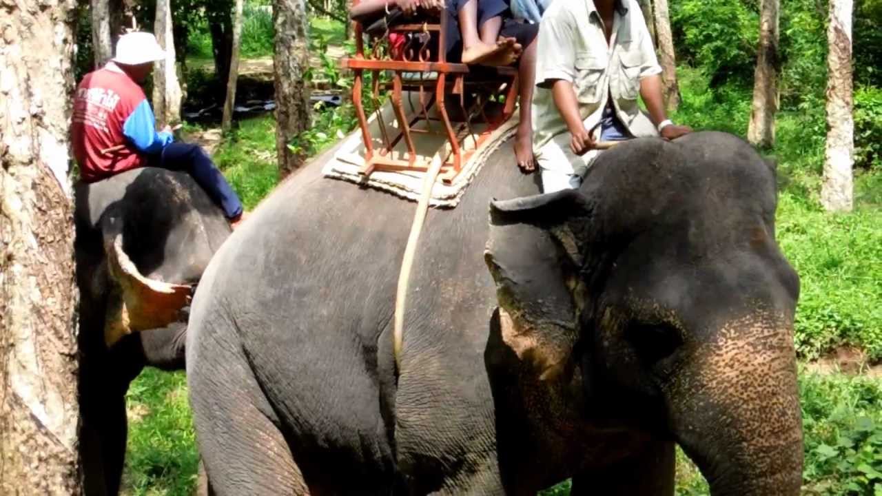 Elephant Ride in Krabi, Thailand.MOV