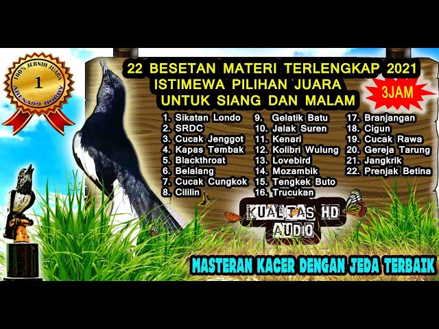 Masteran Burung Kacer Full Isian Tembakan Mewah Lengkap - Masteran Kacer Juara Nasional 2021 class=