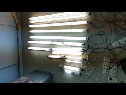 Hitachi F4T5 4 Watt 2