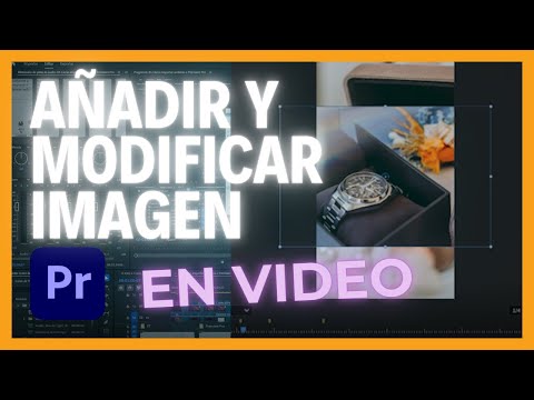 ➡️ Cómo Insertar y MODIFICAR Imagen en Video ✅ | Curso de Premiere Pro #8