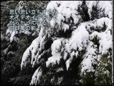 Osamu Koshino Songbook 雪の朝