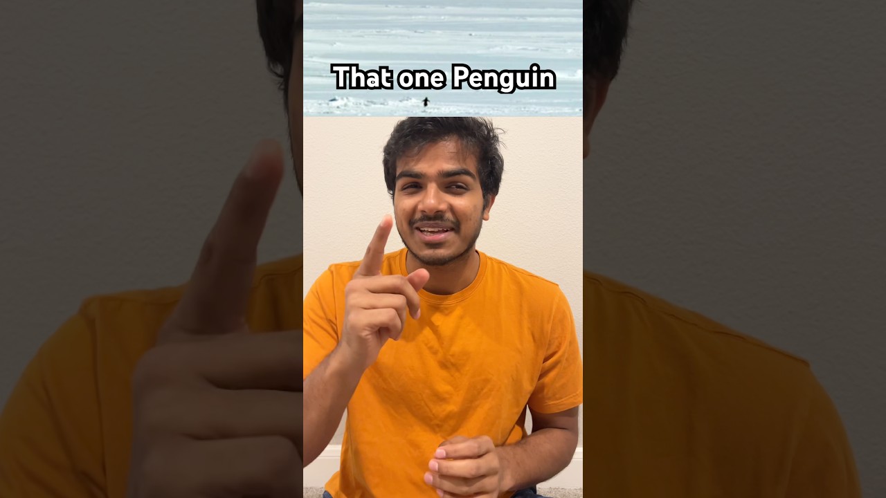 Тот самый пингвин — настоящий боец! 