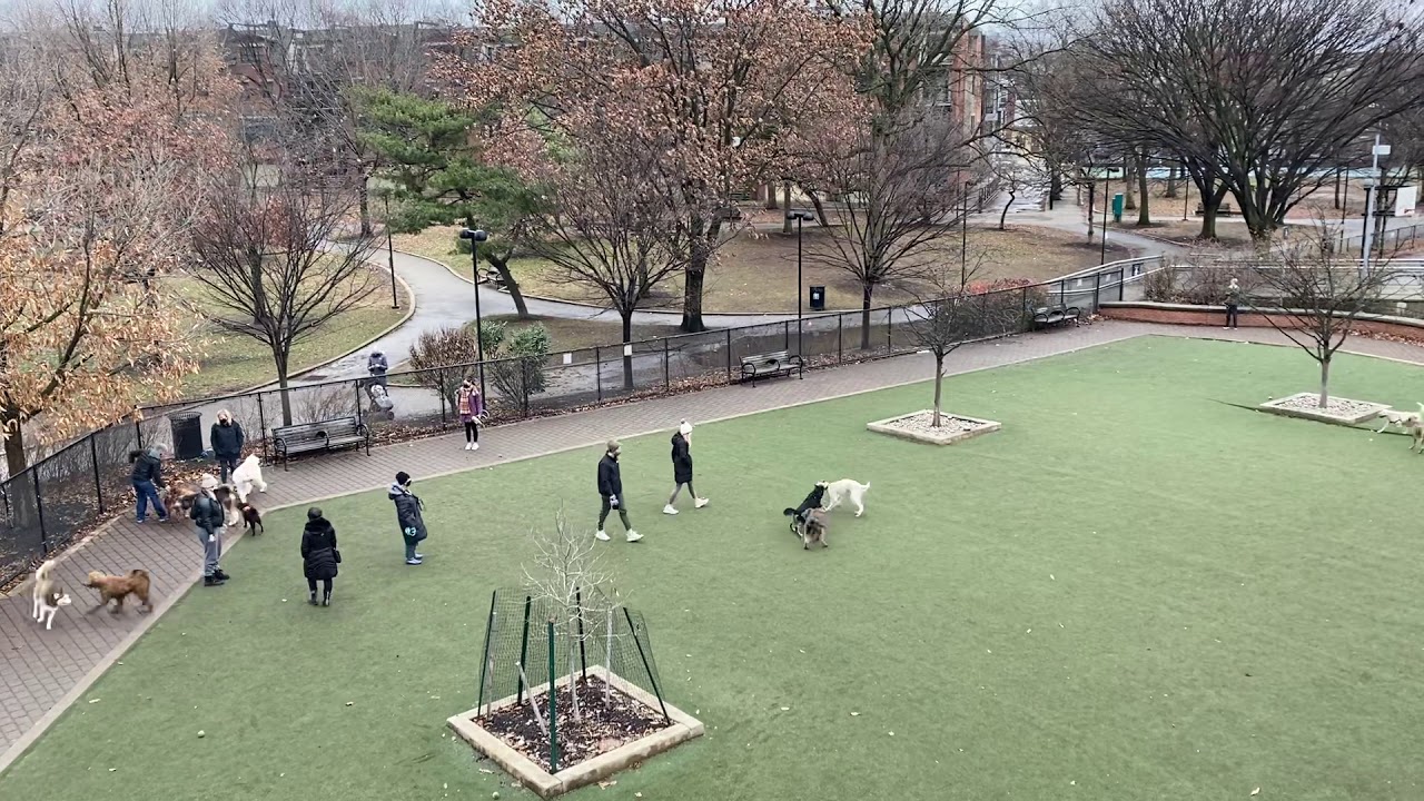 5 Ways to Produce More Patient-Centered Dentistry