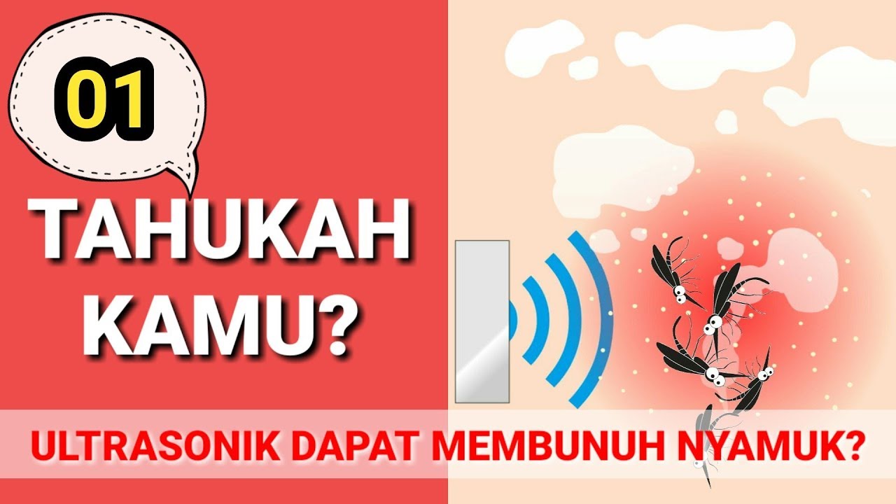 Gelombang ultrasonik dapat membunuh nyamuk??-Tahukah Kamu?#1 