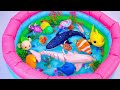 [🐳Toy asmr🐳] RC Whale &amp; Pink Dolphin &amp; RC Baby Shark &amp; Aquarium ASMR Satisfying with Unboxing