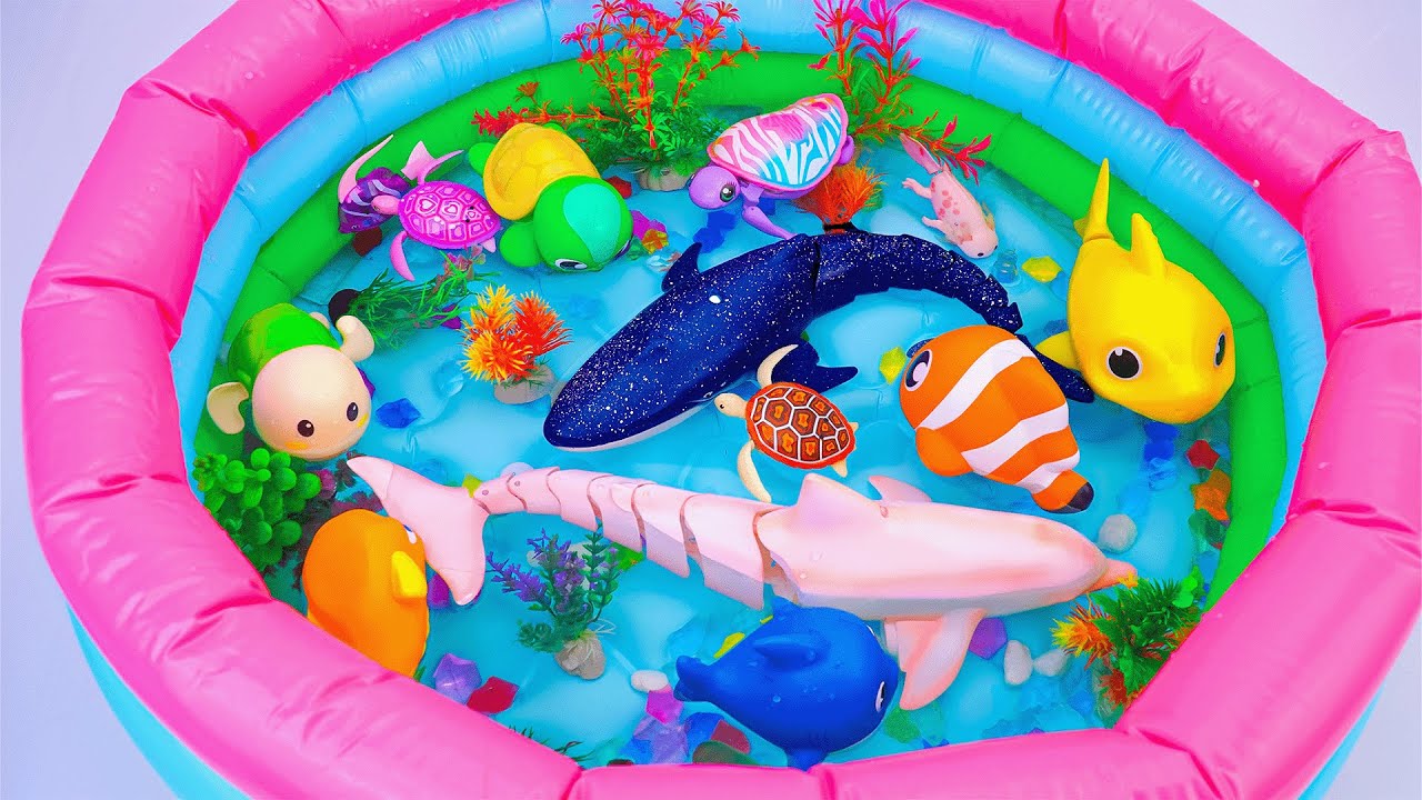 [🐳Toy asmr🐳] RC Whale & Pink Dolphin & RC Baby Shark & Aquarium ASMR Satisfying with Unboxing