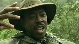 Congo Journey into the Unknown (TV Special, 1995)
