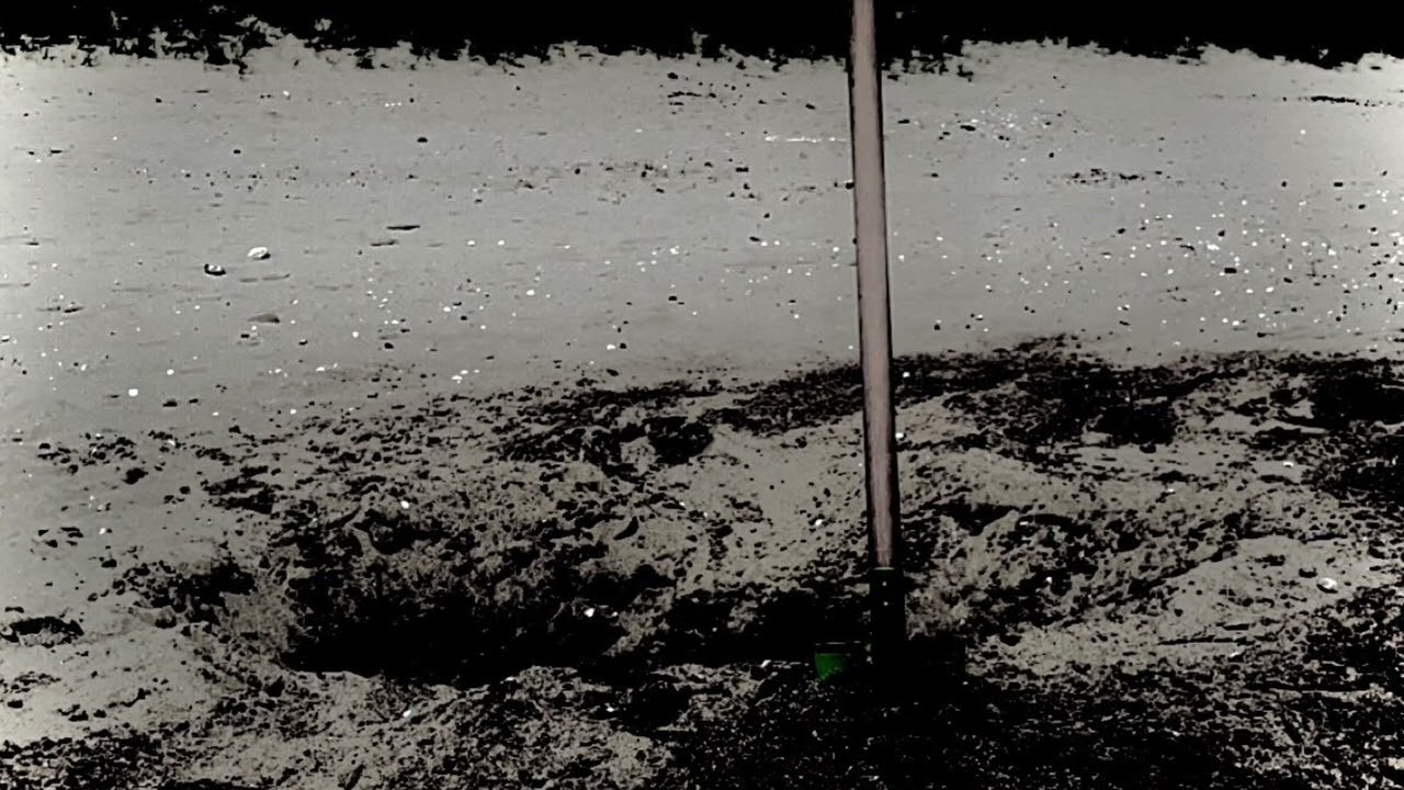 SOCIAL MOTH (scratch shitbox rec)