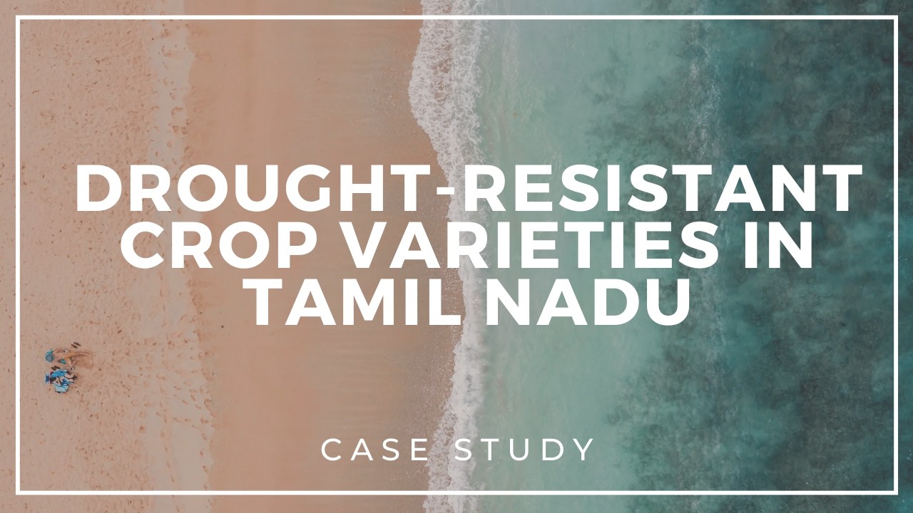 CASE STUDY ON DROUGHT RESISTANCE CROPS | IDE | SNS INSTITUTIONS