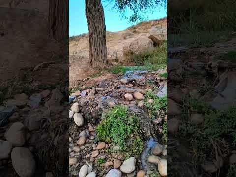 طبیعت شیراز طبیعتگرد ابشار زیبا ابشاری ابشار زلال رودخانه چشمه   