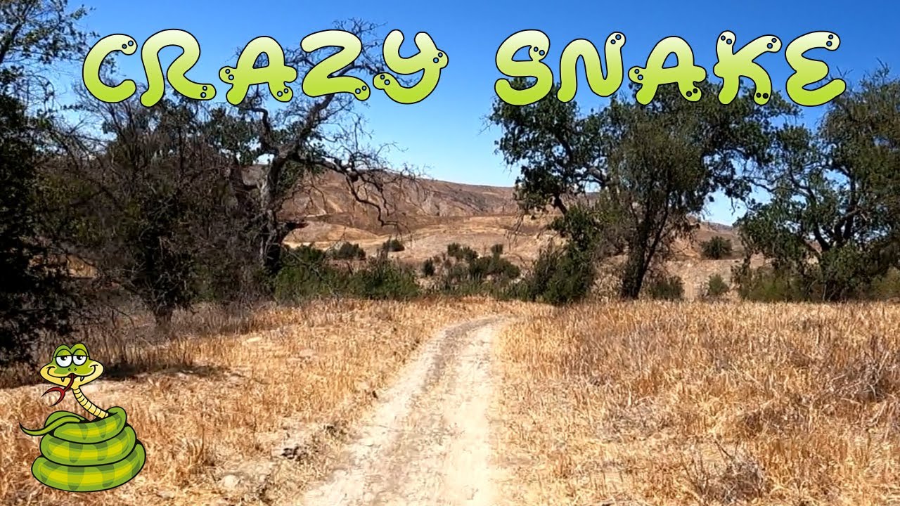 Crazy Snake Trail Mountain Biking Calabasas, CA YouTube