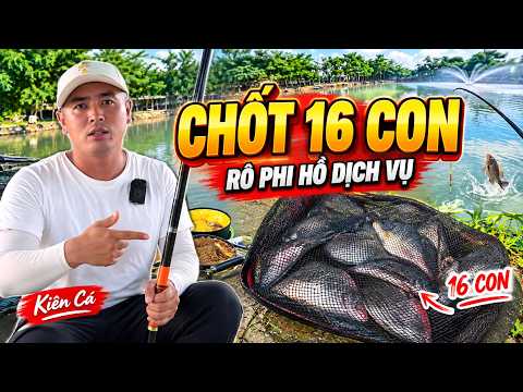 Câu Rô Phi Hồ Dịch Vụ: Kiên Cá Chốt 16 Con Trong Một Buổi