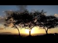 175 In the Light「ひかりのなかで」