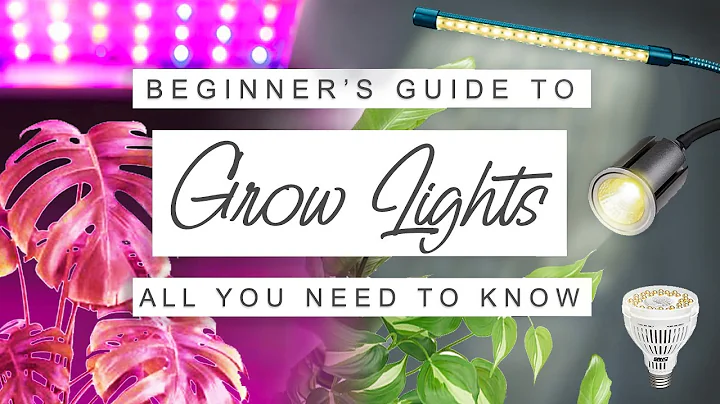 Easy Beginner's Guide To Grow Lights For Houseplants 💡 GROW LIGHT 101 🌱 Why, When + How To Use Them - DayDayNews