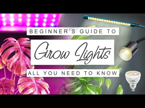 Easy Beginner's Guide To Grow Lights For Houseplants 💡 GROW LIGHT 101 🌱 Why, When + How To Use Them