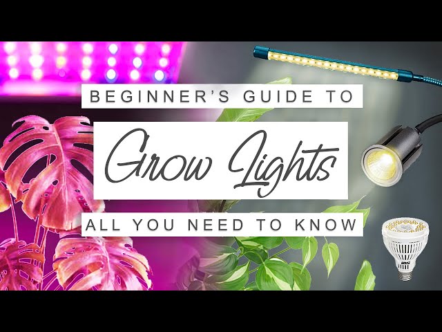 Everything You Need to Know About Grow Lights, Architectural Digest