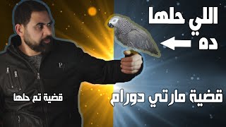 الشاهد الاغرب في تاريخ القضاء I تم حلها - كلبشاتI محمود الشريف