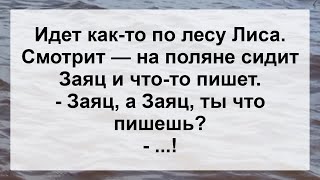 Заяц Заинтересовал Лису Письмом ...! Анекдот Дня Для Настроения! Юмор! Смех! Позитив!