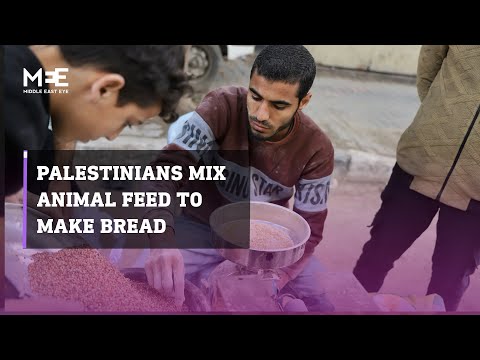 Palestinians in Gaza forced to mix animal fodder with flour to make bread