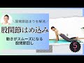 【股関節を360度回してほぐす】痛くない、安全に硬さを解消!開脚攻略のための「股関節はめ込みエクササイズ」