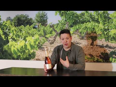 Vitis Vin I About Wine I Domaine Désiré Petit: Crémant de Jura Brut Rosé I 2017 Vitis Vin I About Wine I Domaine Désiré Petit: Crémant de Jura Brut Rosé I 2017