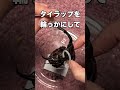 凶暴なクワガタを縛る理由 凶暴なクワガタを縛る理由