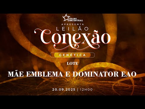LOTE MÃE EMBLEMA E DOMINATOR EAO   EAO A7465