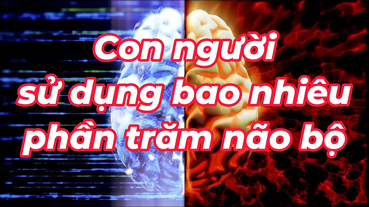 Người ta sử dụng bao nhiêu phần trăm não bộ