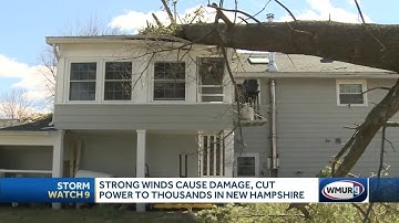 Strong winds bring down trees, power lines