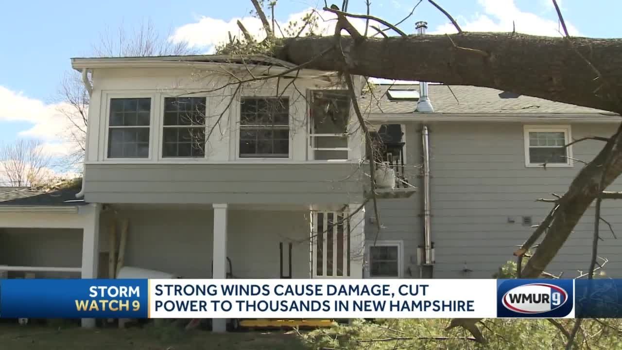 Strong winds bring down trees, power lines - YouTube
