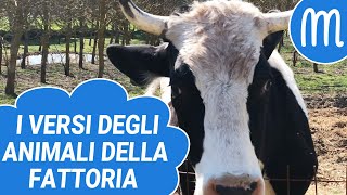Farm Animal Sounds for Kids - Hear the sounds, learn the names and watch the video screenshot 4