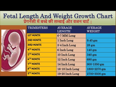 Fetal Length And Weight Growth Chart | प्रेगनेंसी में बच्चे की लम्बाई और वजन चार्ट