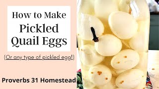 Making Pickled Quail Eggs Or Any Type Of Pickled Egg