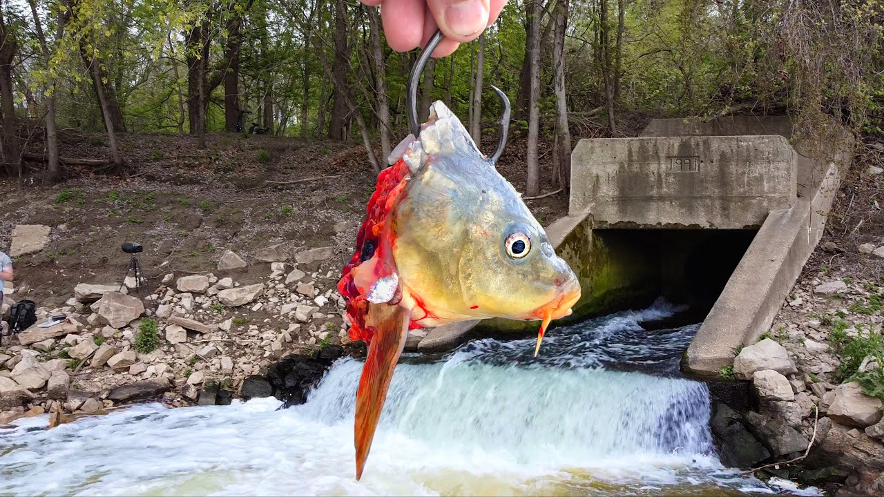 Casting GIANT Baits In a SPILLWAY!!! (NEW Fishing Gadget! - Espin