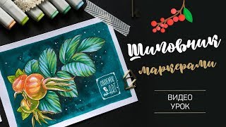 · Скетчинг спиртовыми маркерами · Рисуем шиповник · Видеоурок · · Скетчинг спиртовыми маркерами · Рисуем шиповник · Видеоурок ·