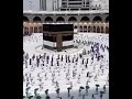 لبيك ربي وان لم أكن بين الحجيج ساعيا تشكيل الصفوف في الطواف شئ جميل