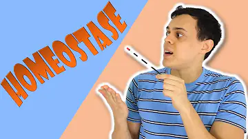 O que é a homeostase genética porque ela ocorre?