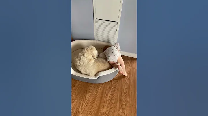 Boy Goes to Snuggle with His Bedtime Buddy as Dog Licks Him - DayDayNews