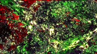 Liquid Colorful Organic Background Stock Footage