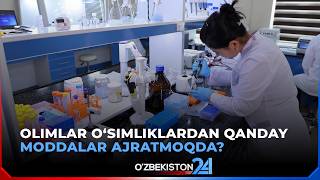 Olimlar o‘simliklardan qanday moddalar ajratmoqda? | Yangilanish shiddati