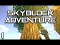 Skyblock Adventures EP1 Ex Nihilo Infinite Water Setup