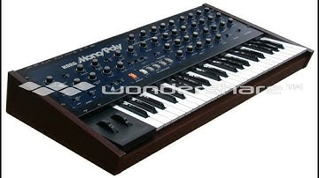 Korg Monopoly Demo Song