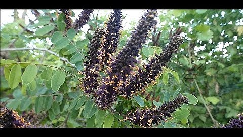 The Danger of Being a Good Person – Orwell