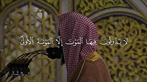 إِنَّ الْمُتَّقِينَ فِي مَقَامٍ أَمِينٍ (51) تلاوة جميلة من سورة الدخان الشيخ احمد بن طالب